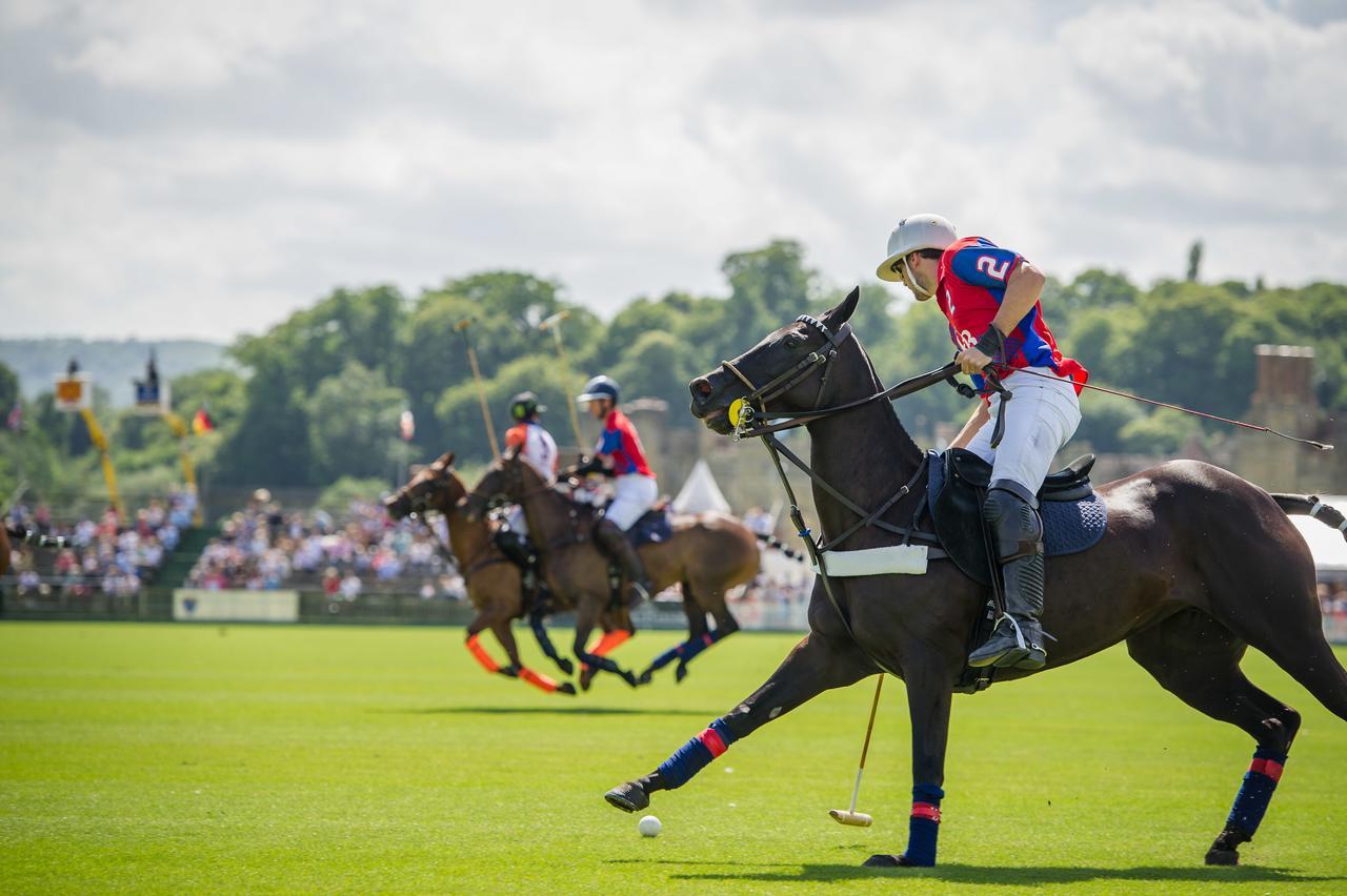 Cowdray Lodge ミッドハースト エクステリア 写真